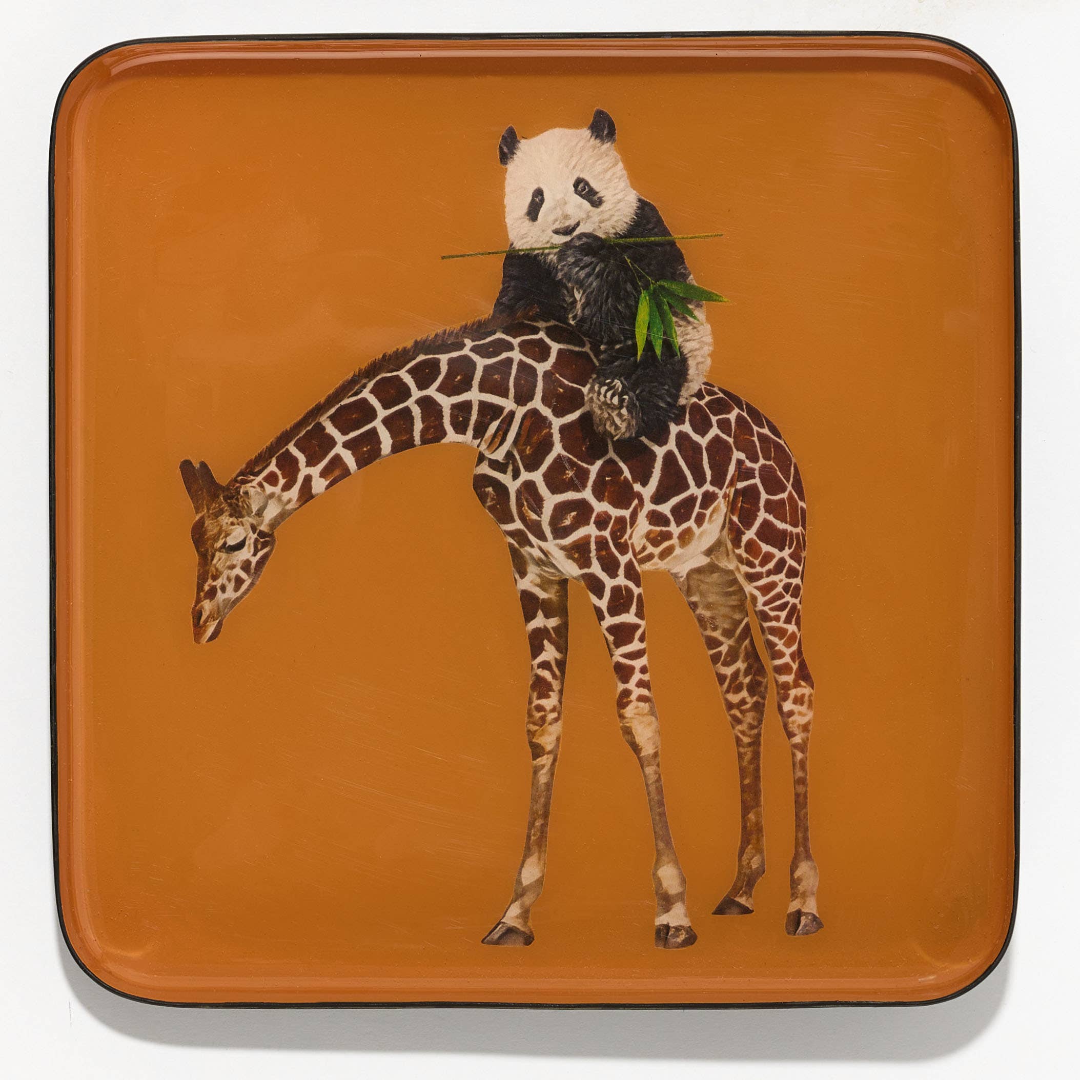 Vide-poche Bandipanda