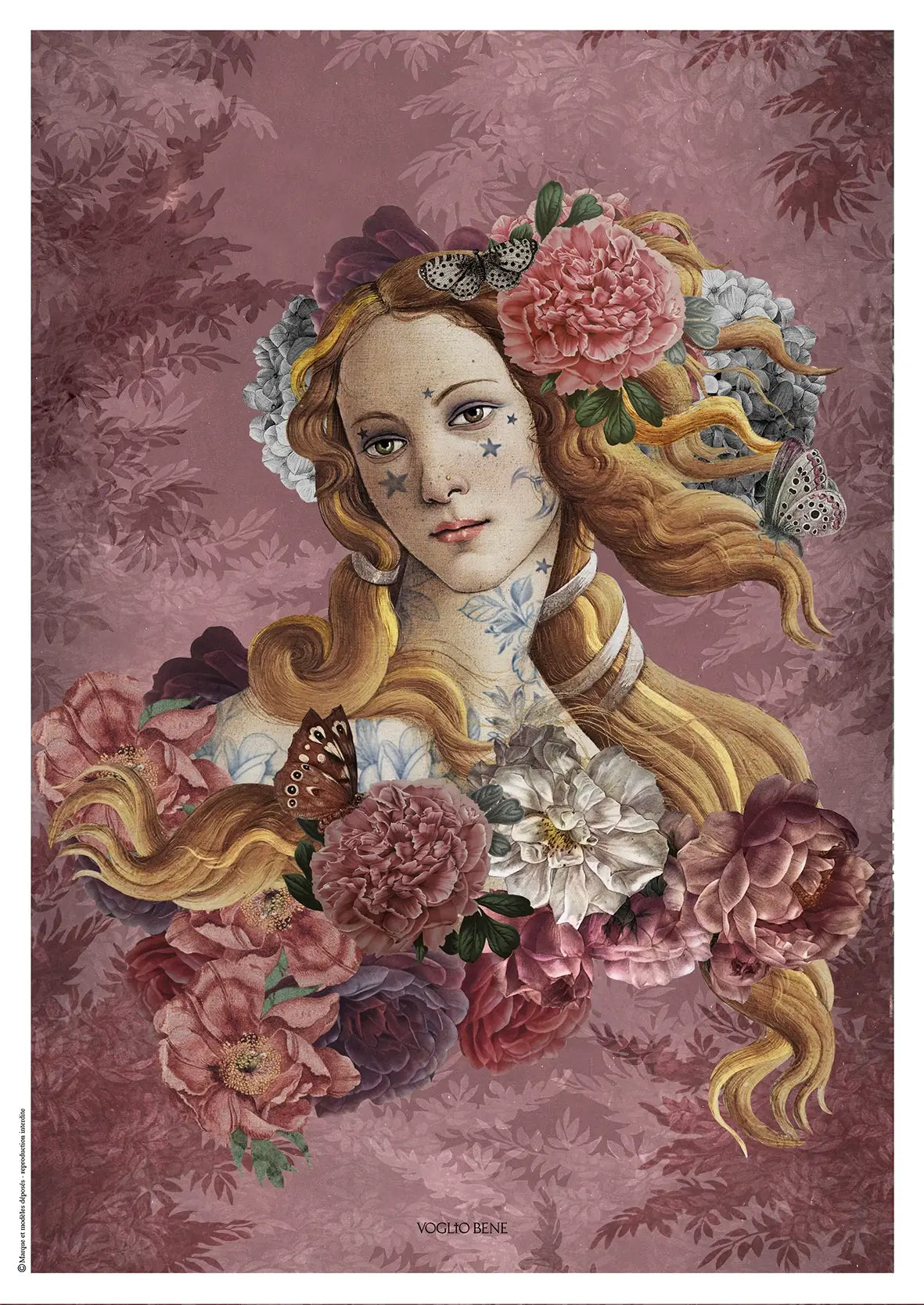 CANSON AFFICHE A4 VENUS
