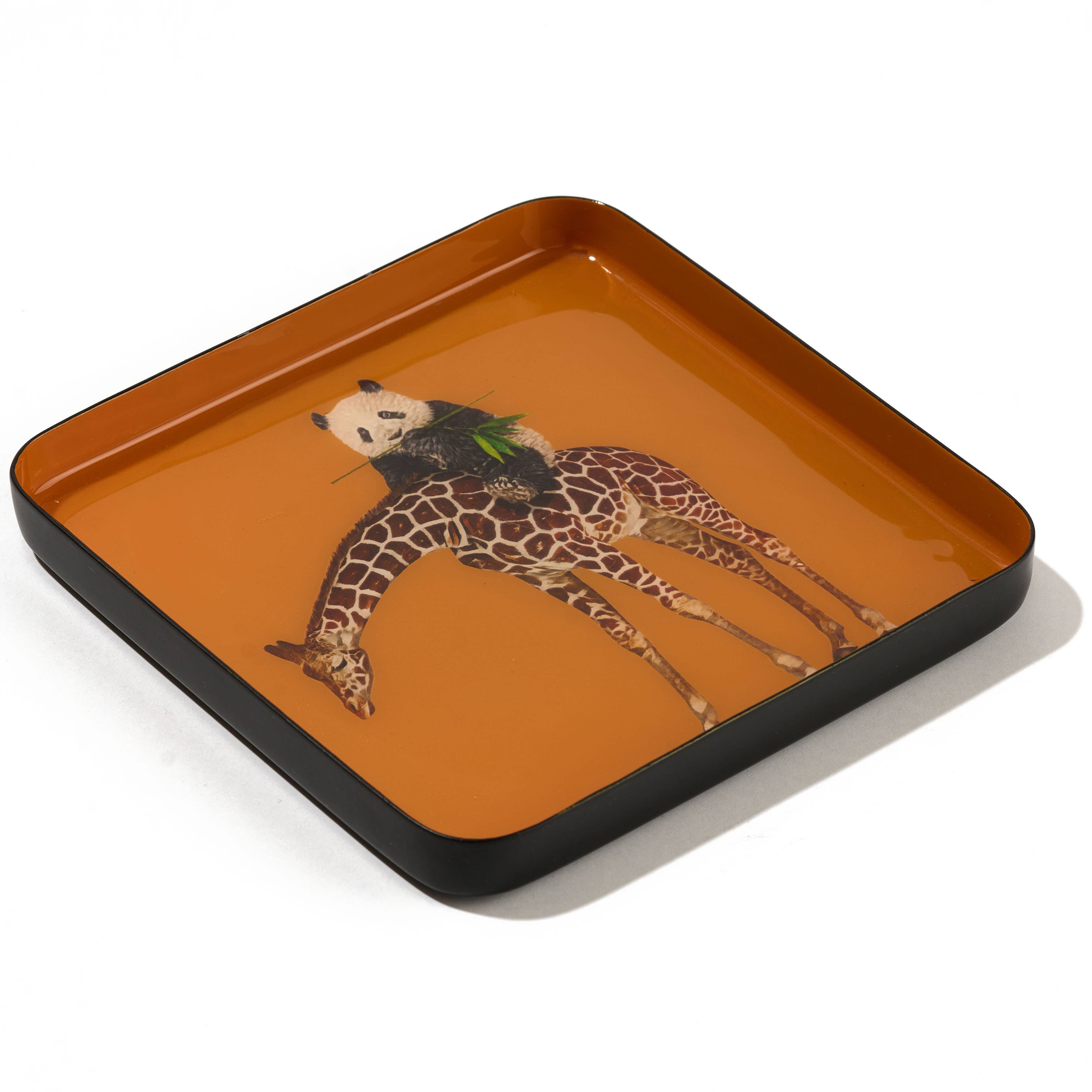 Vide-poche Bandipanda